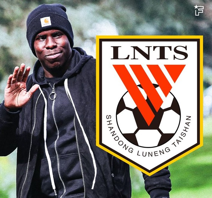 搞笑!山东泰山欲签虐猫后卫,遭国外网友嘲讽:山东的猫注意安全